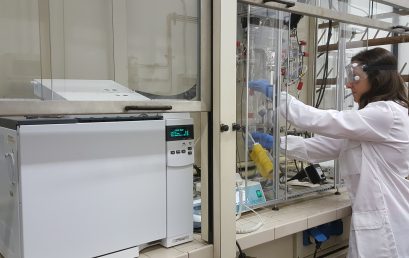 New experimental facility at PTlab